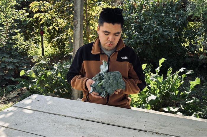 От нефтянки к брокколи: фермер из Атырау собрал первый урожай редкого овоща