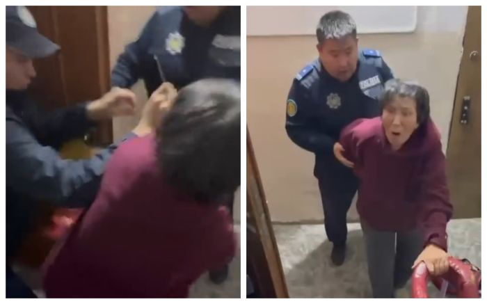 Полицейский сломал ребро 76-летней женщине: ведётся проверка