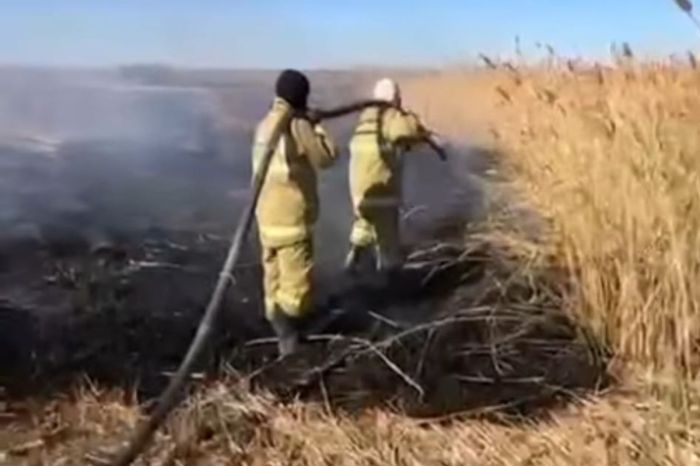 У села Новокирпичный снова горел камыш