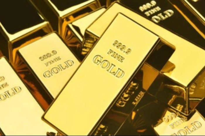 Контрабандист пытался вывезти из России в Казахстан золото на 60 миллионов тенге