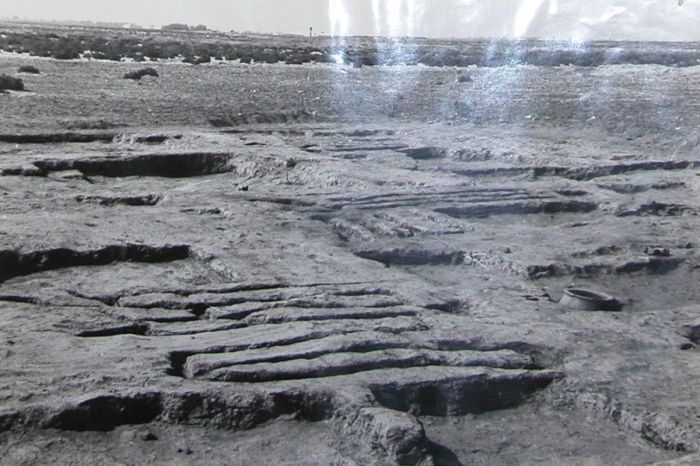 Городище Актобе-Лаэти огородили и готовят к музеефикации