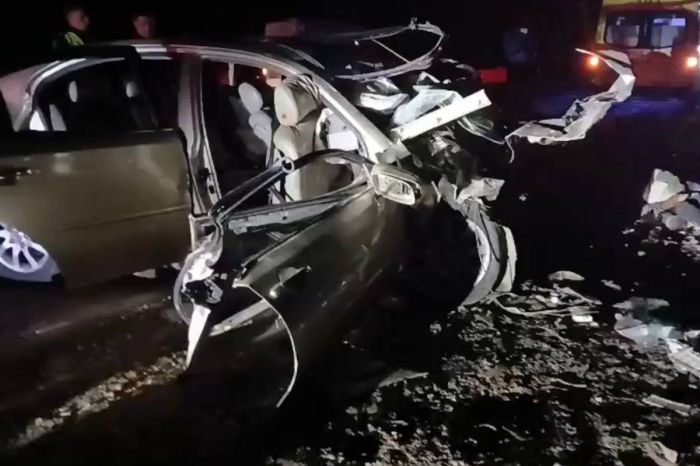 В Казахстане обсуждают запрет Toyota Alphard