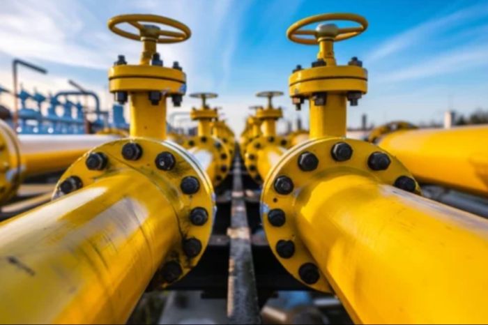 Экономический рост в ЦА требует больше газа: поставки из РФ будут расти