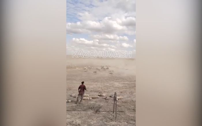Сети против сайгаков: видео охоты взбудоражило казахстанцев