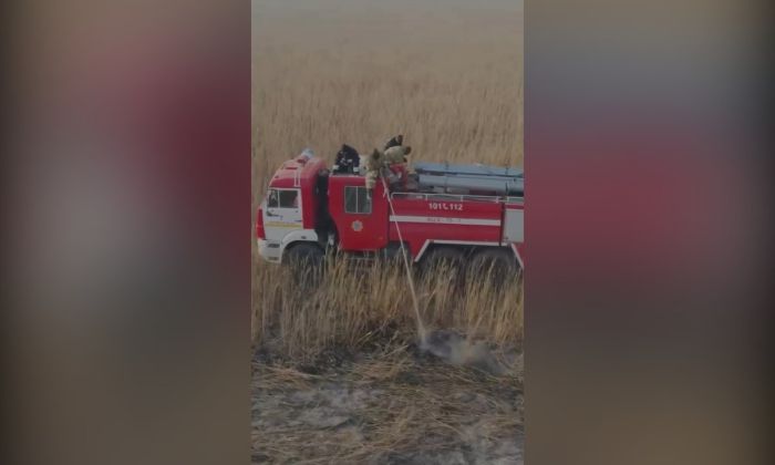 Кадры тушения камыша в Курмангазинском районе