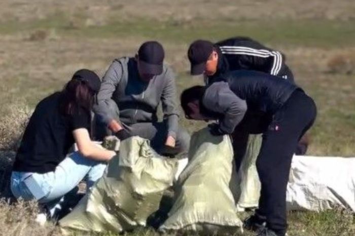 С берегов Каспия и Урала вывезли 12 тонн мусора