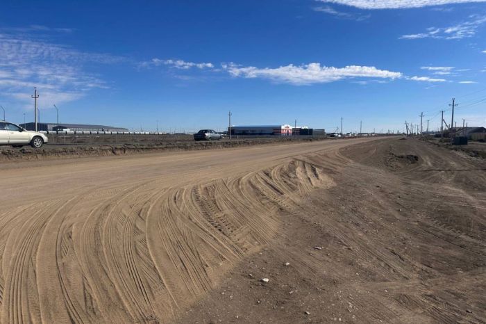 Асфальт сняли и бросили: жители Черной речки требуют вернуть дорогу