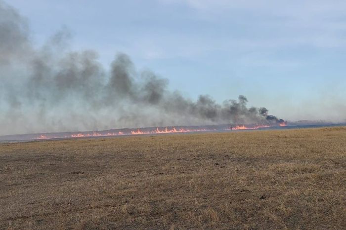 Дым из Казахстана добрался до России: в одном из городов чувствуется гарь