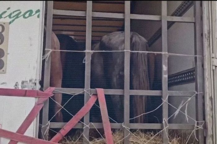 В ЗКО раскрыта серия краж: под подозрением — глава крестьянского хозяйства
