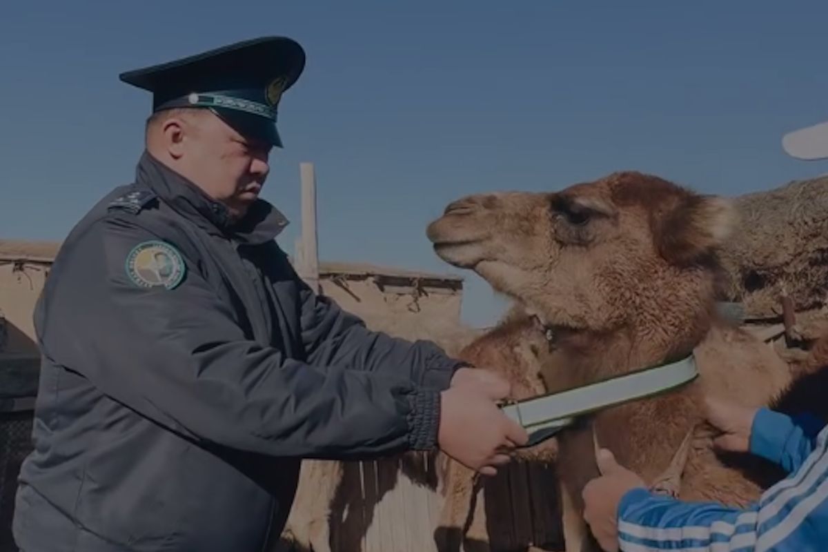 скриншот видео скриншот видео