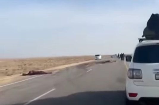 стоп-кадр видео