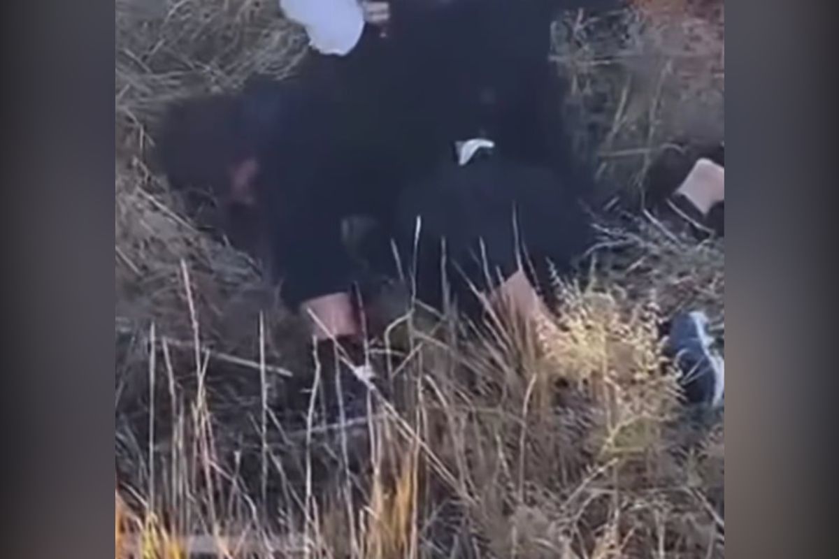 скриншот видео из соцсетей