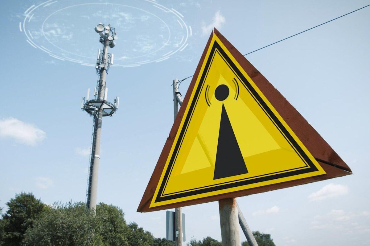 фото freepik.com