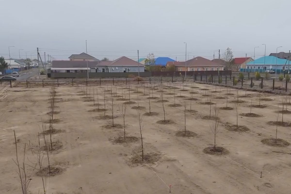 скриншот видео скриншот видео