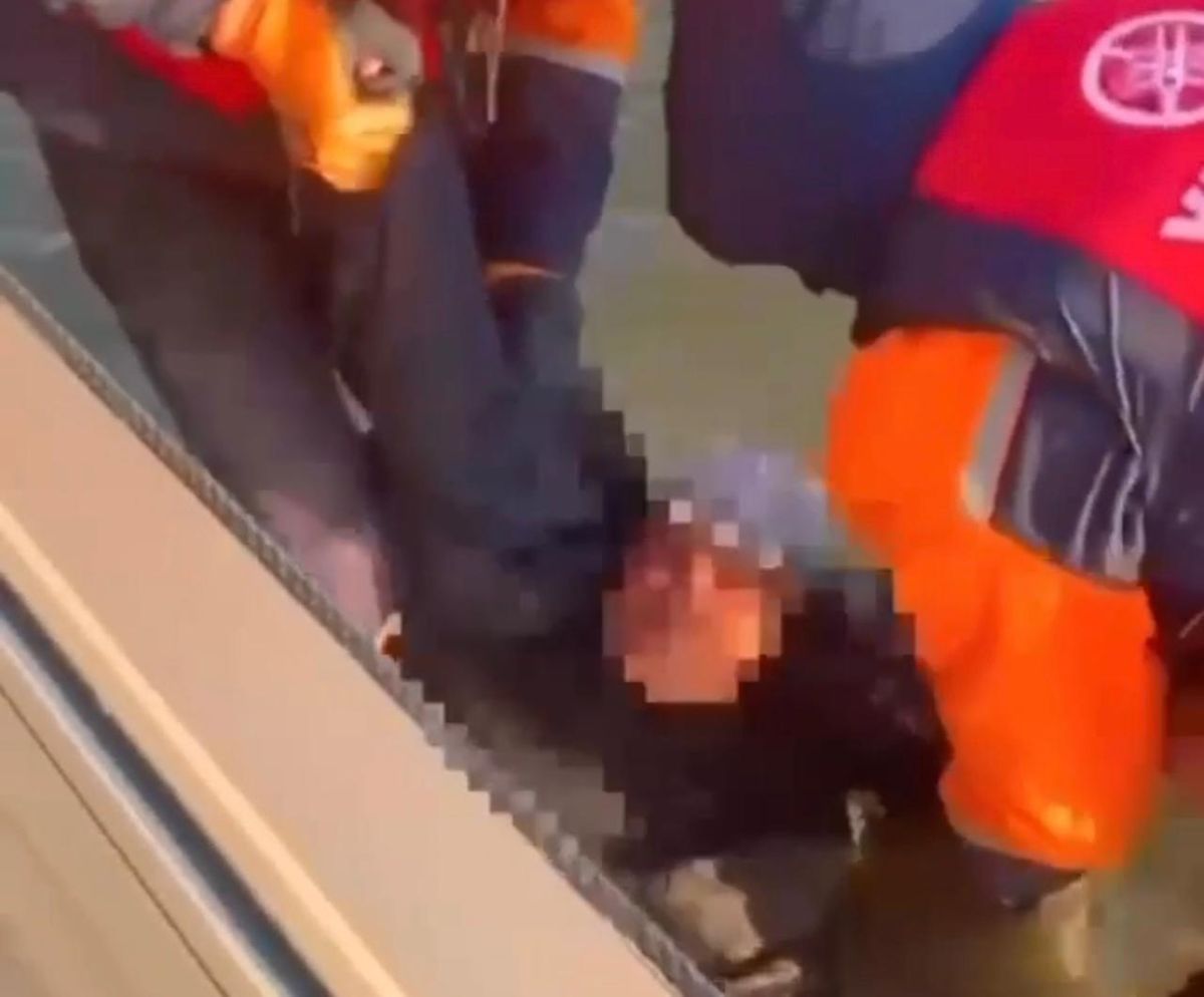 стоп-кадр с видео стоп-кадр с видео