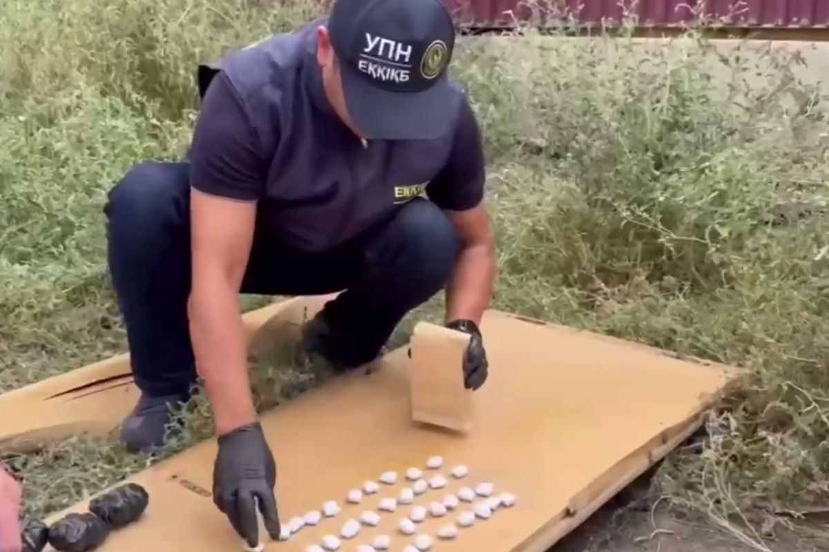 скриншот видео скриншот видео