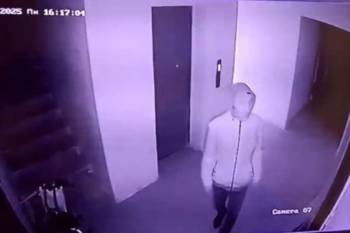 скриншот видео скриншот видео