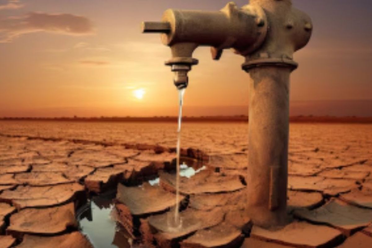 Фото из открытых источников. Фото из открытых источников.