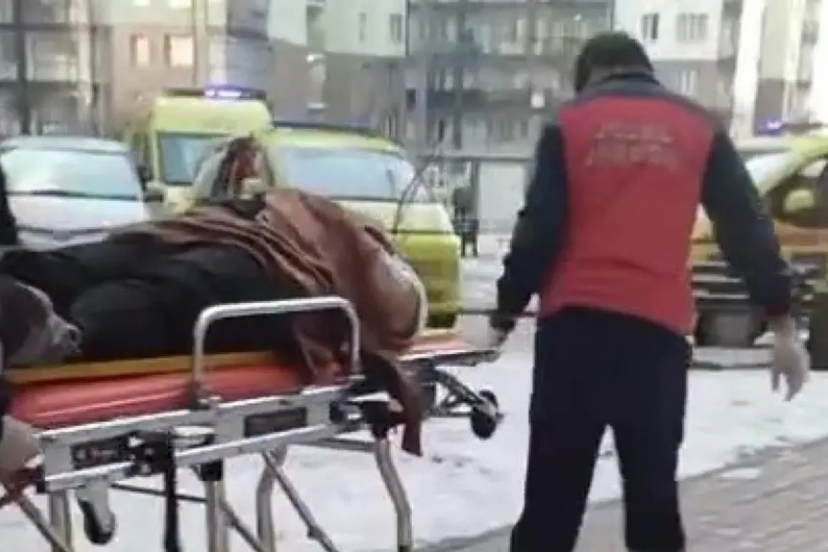 стоп-кадр с видео