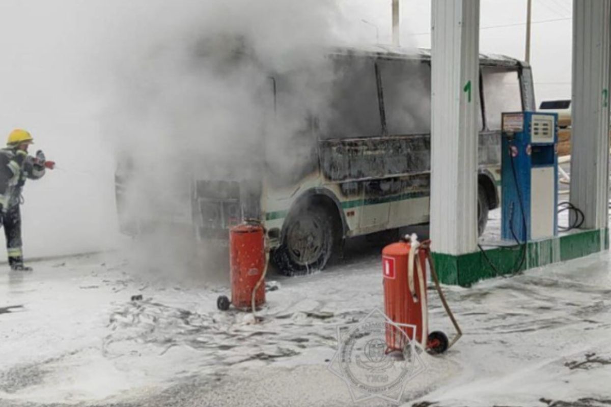 стоп-кадр с видео стоп-кадр с видео