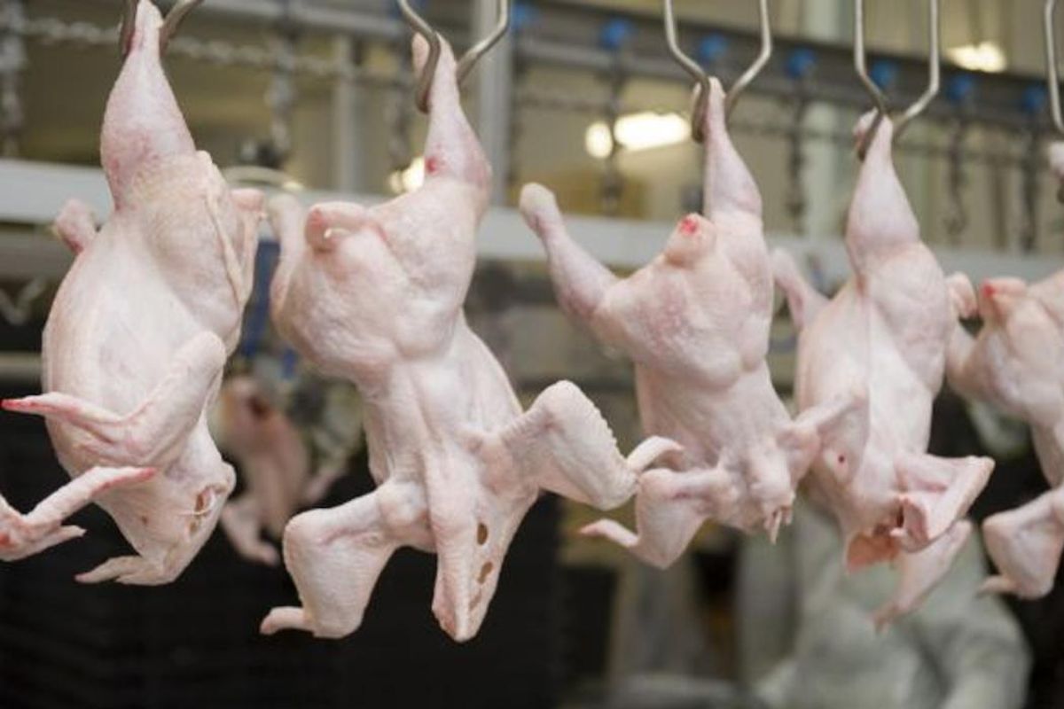 фото министерства сельского хозяйства Республики Казахстан фото министерства сельского хозяйства Республики Казахстан