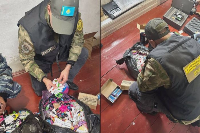 Полиция Казахстана и России ликвидировали транснациональную сеть интернет-мошенников