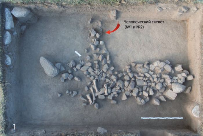 Неолит в восточном Казахстане: найдено самое древнее захоронение человека в стране