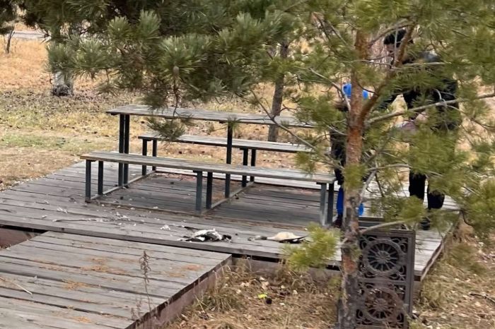 Жители Астаны возмущены: в Президентском парке разделывали фазанов