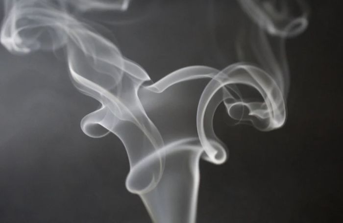 Курение марихуаны обернулось арестом для двух жителей Алматинской области