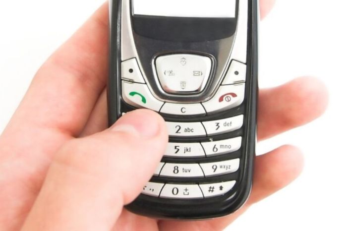 Казахстанцы смогут получать госуслуги с кнопочных телефонов