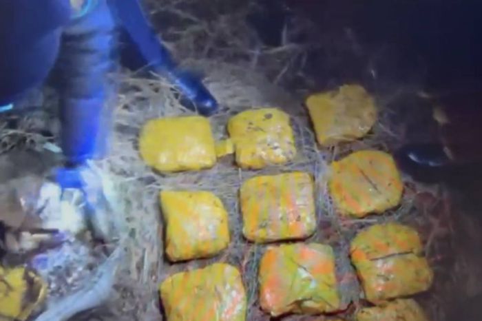 Более 12 кг мефедрона изъяли полицейские в Акмолинской области 