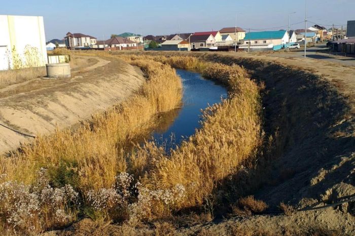 Реанимация ерика Мостового оказалась экономически нецелесообразной