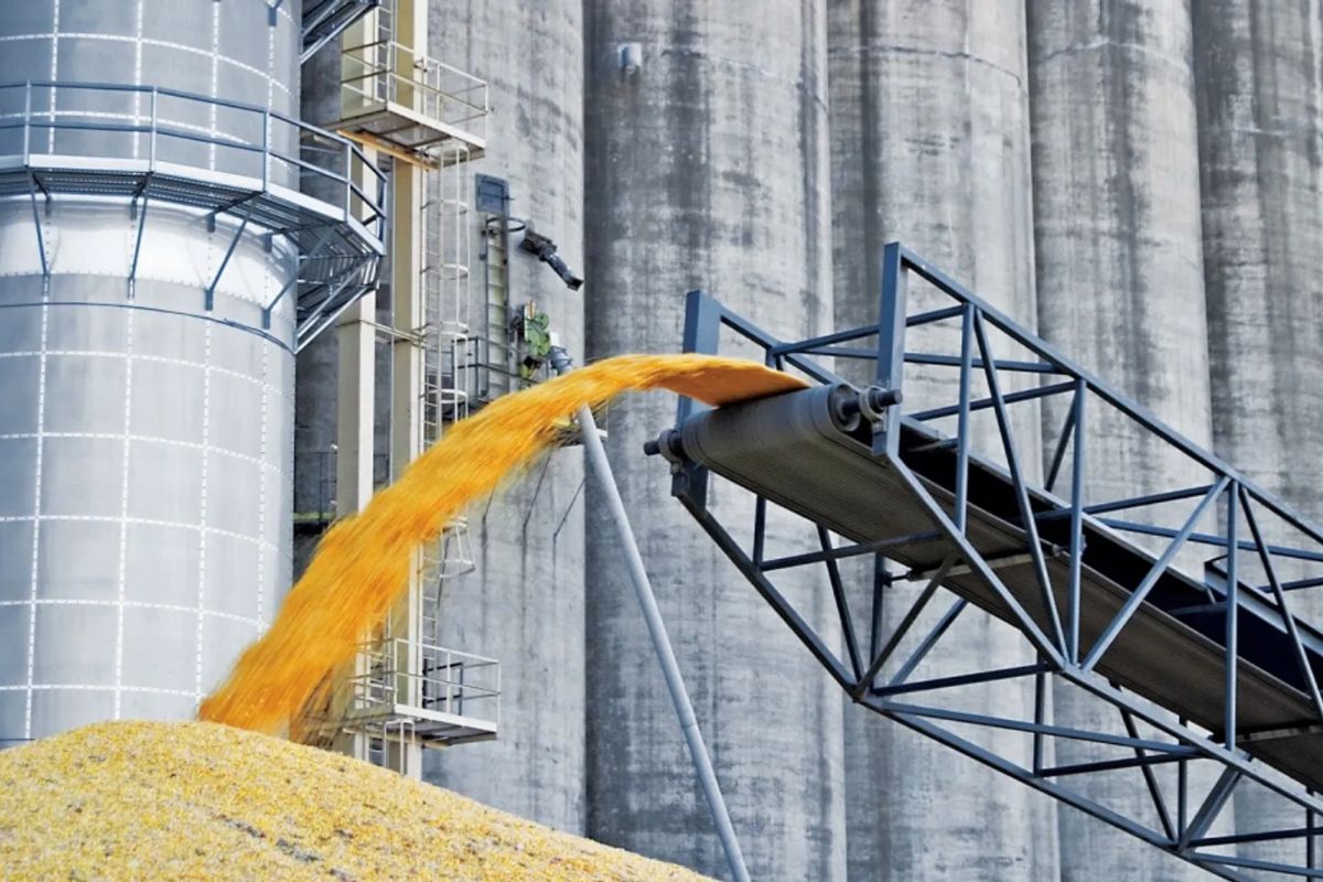 Фото из открытых источников. Фото из открытых источников.