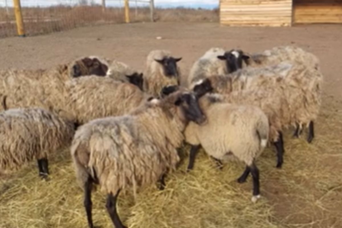 иллюстративное фото иллюстративное фото