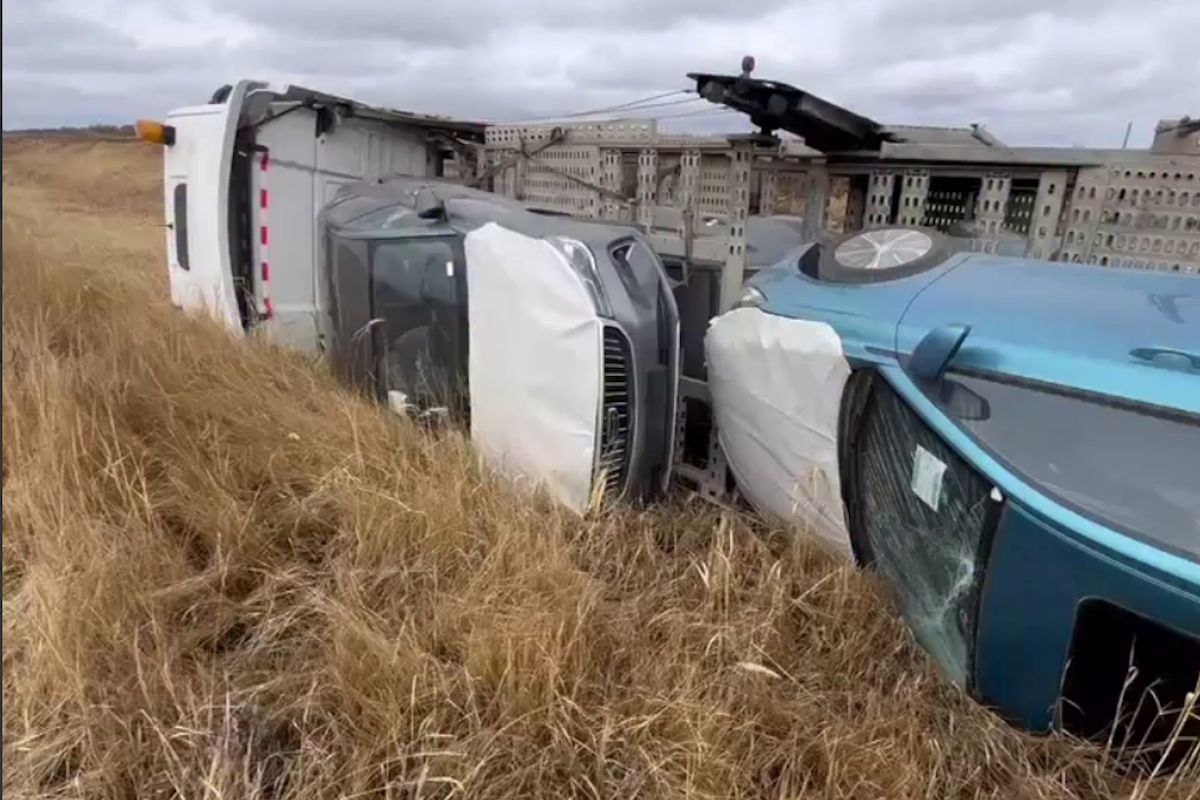 скриншот видео