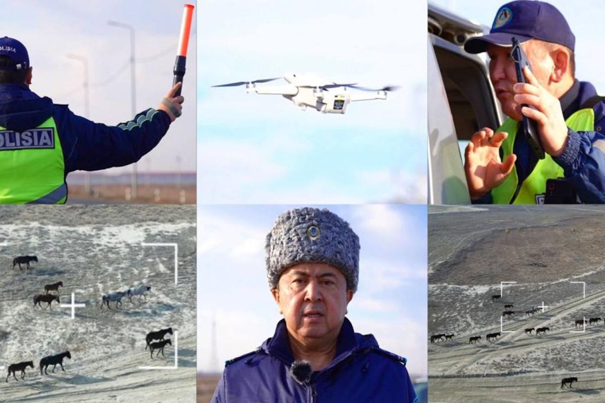 фото МВД РК