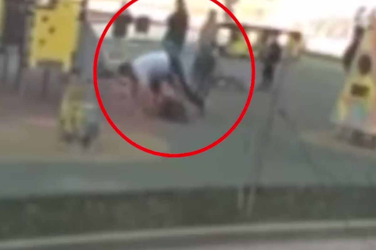 скриншот видео скриншот видео