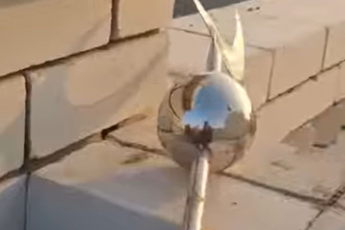 стоп-кадр с видео