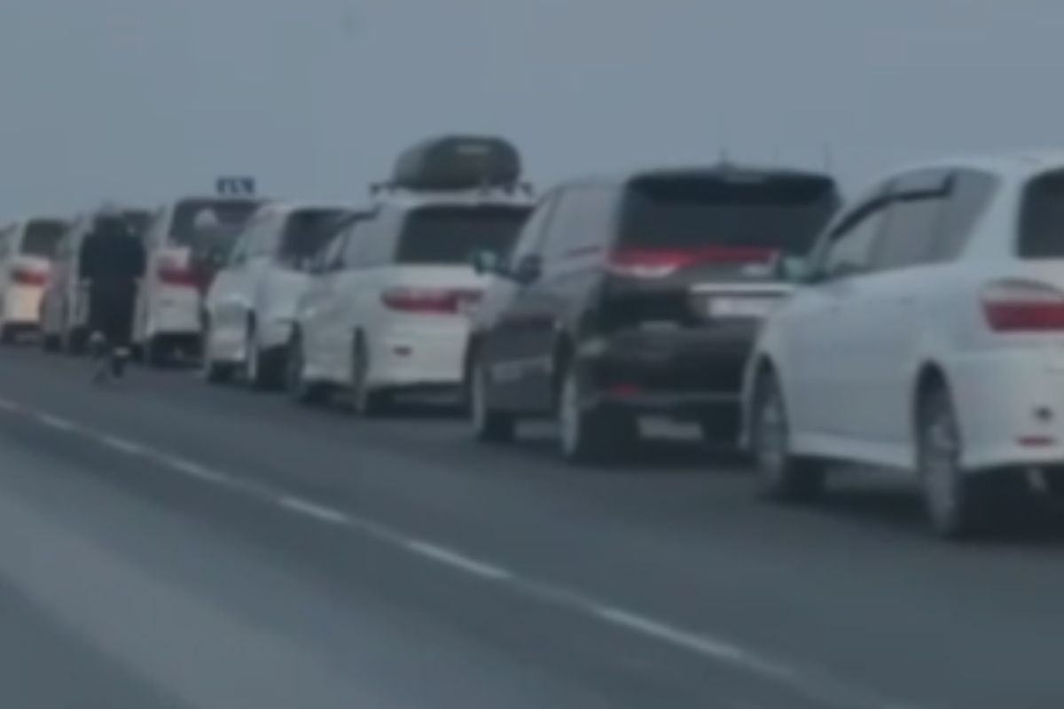 стоп-кадр с видео