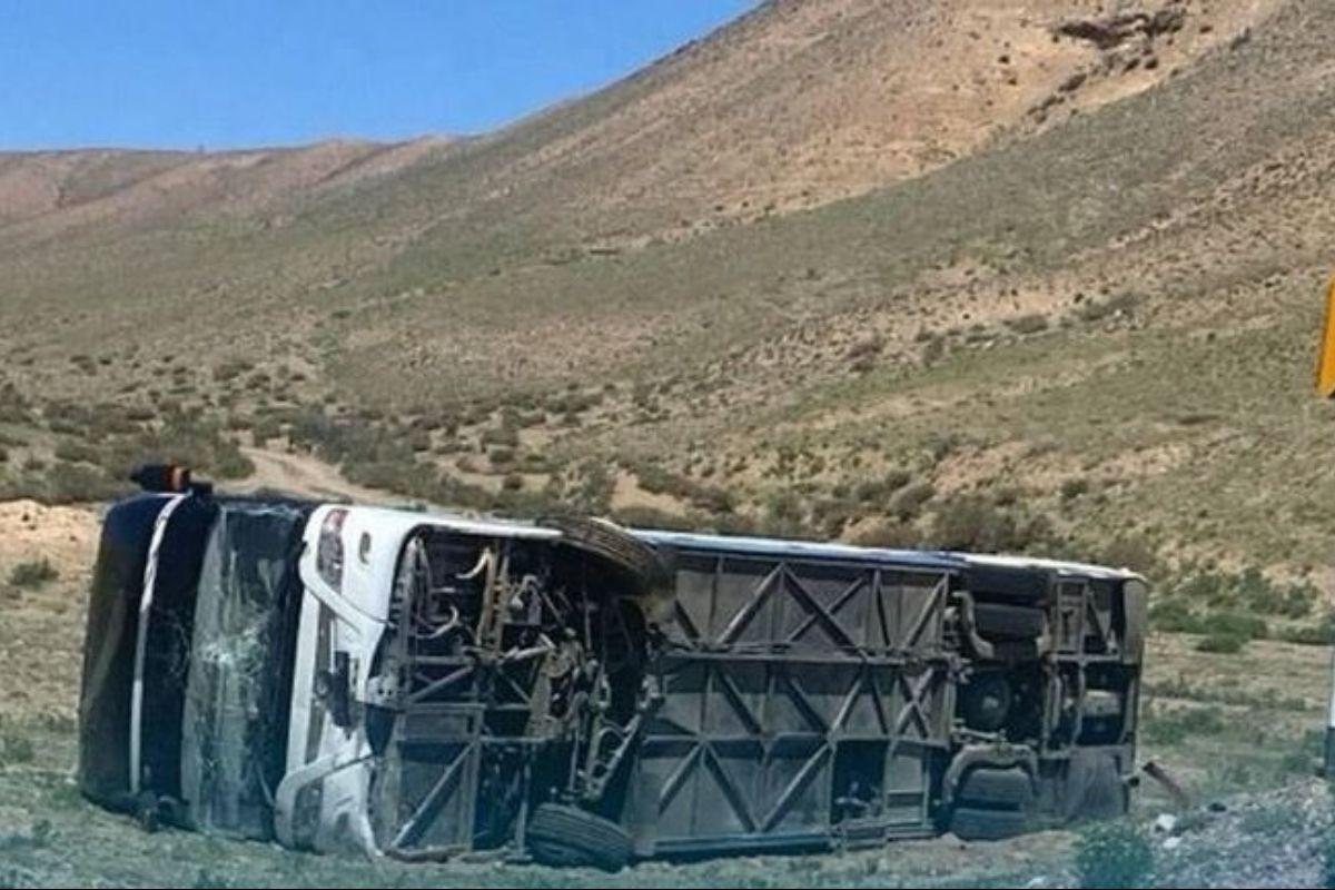 иллюстративное фото