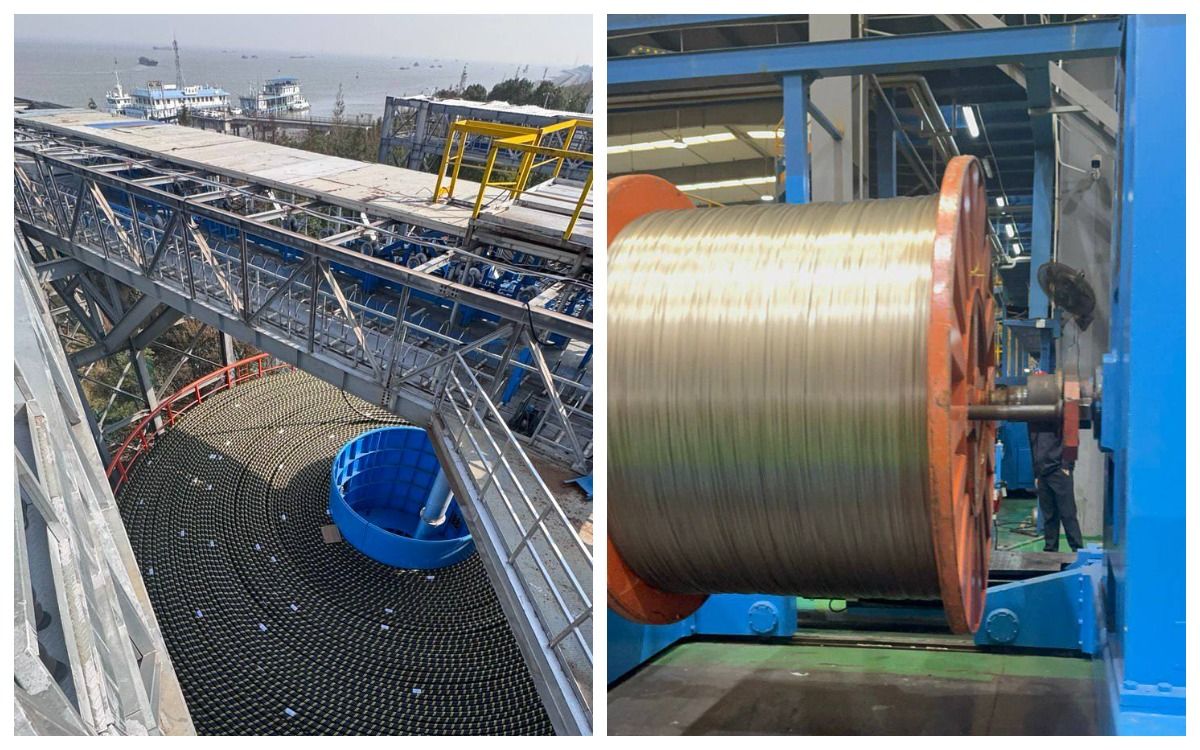 коллаж "АЖ", фото из телеграм-канала Н.Мейрманова коллаж "АЖ", фото из телеграм-канала Н.Мейрманова