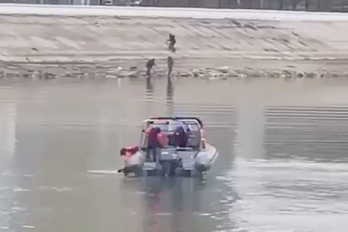 скриншот видео