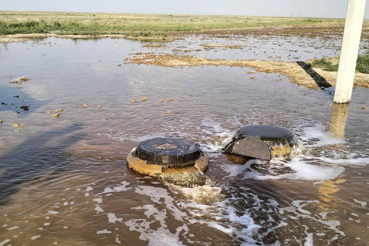 фото комитета экологического регулирования и контроля фото комитета экологического регулирования и контроля