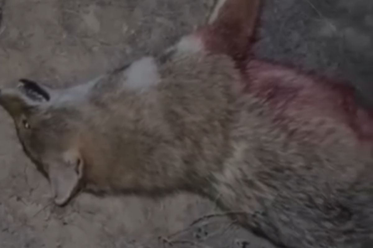 стоп-кадр с видео стоп-кадр с видео