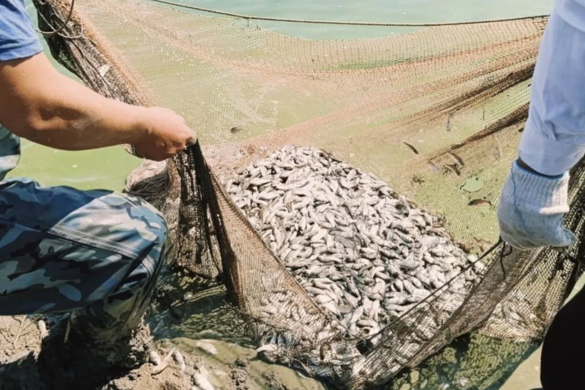 Фото из архива "АЖ" Фото из архива "АЖ"