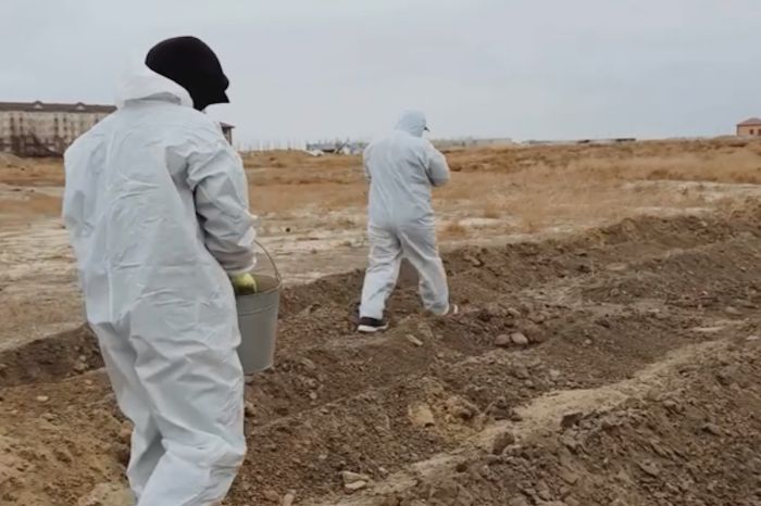 Война с вредителями: в пригородах Атырау начались дезинфекционные работы