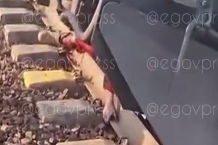 Экстренное торможение не помогло: в Жетысу поезд сбил мужчину на железнодорожных путях