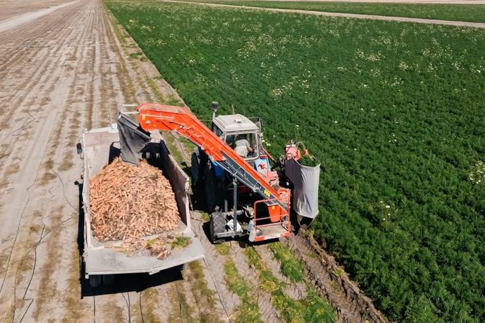 Более 116 млрд тенге: итоги сельхозпроизводства в Атырауской области