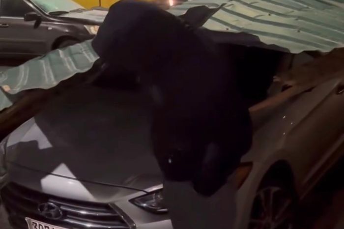 Сильный ветер и гололёд в Атырау: обрушения фасадов, сорванные крыши и перебои со светом