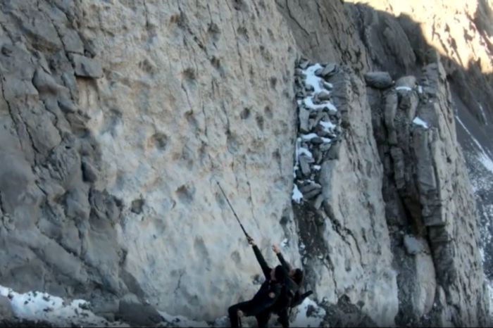 В итальянских горах обнаружены тысячи следов динозавров, которым более 200 млн лет